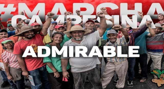 Marcha Campesina Admirable