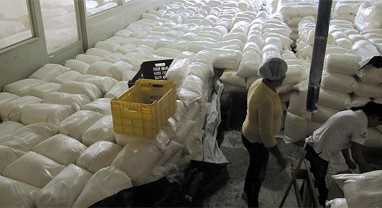 ustelkeria sistemikoaren adierazpena eskasia garaietan