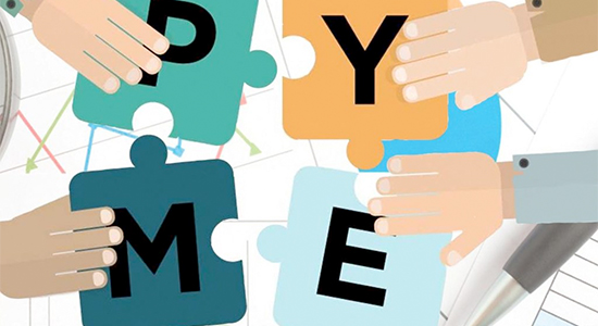 PYME, UPF y políticas económicas