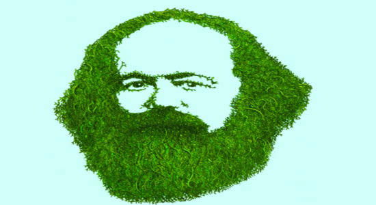 Marx verde