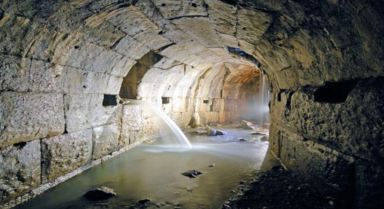 Cloaca