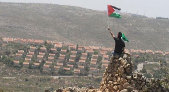 Palestino ondea bandera frente a asentamientos