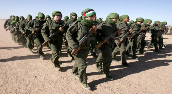 Combatientes del Frente Polisario