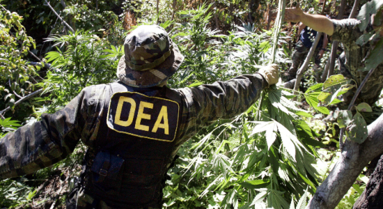 DEA