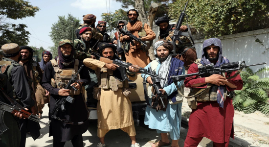 Talibanes
