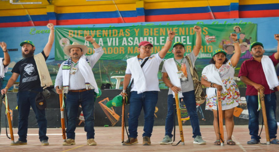Campesinos