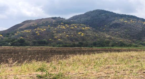 cerro La Vieja