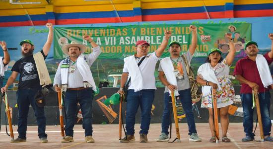 Campesinos