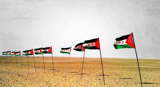 Banderas del Frente Polisario